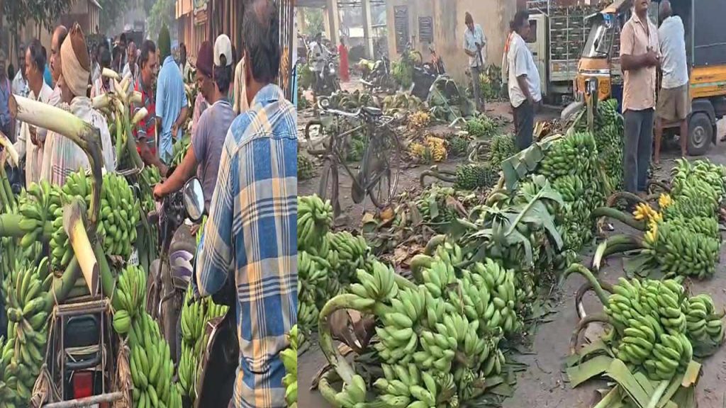 Karthika Masam Disaster Konaseema Banana Farmers Faced Huge Losses As Prices Crash