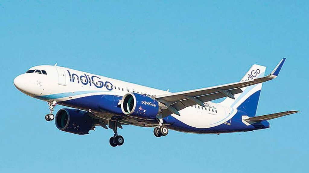Domestic Indigo Flights Cancelled At Delhi Airport