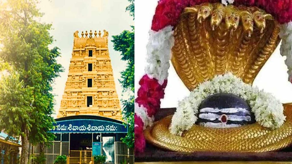 Free Mallikarjuna Swamy Darshan For Chenchu Tribe At Srisailam Temple