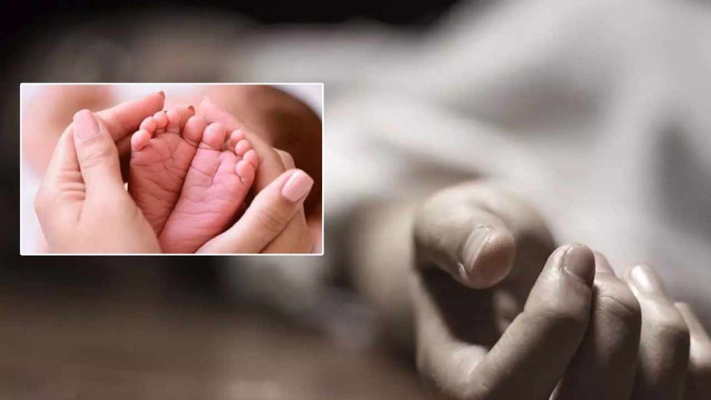 Sri Sathya Sai Tragedy Mother Dies Post Delivery Newborn Killed In Ambulance Crash