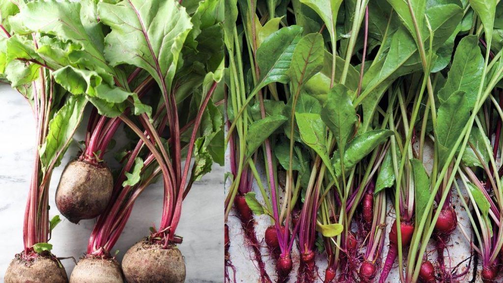 Health Benefits Of Beetroot Leaves Nutrient Rich Superfood For Immunity Heart Digestion