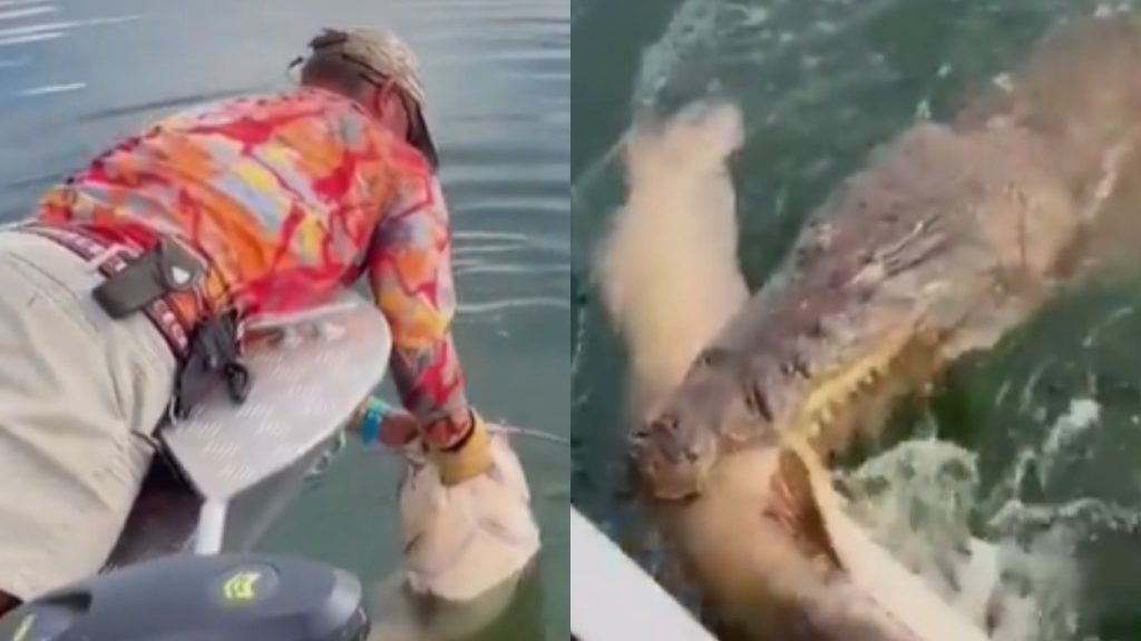 Fisherman Escapes Crocodile Attack While Fishing Shocking Viral Video