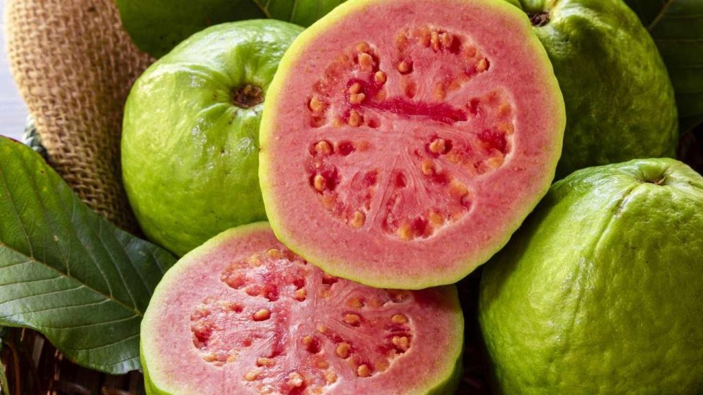 Health Benefits Of Guava Fiber Immunity Digestion Antioxidants Explained