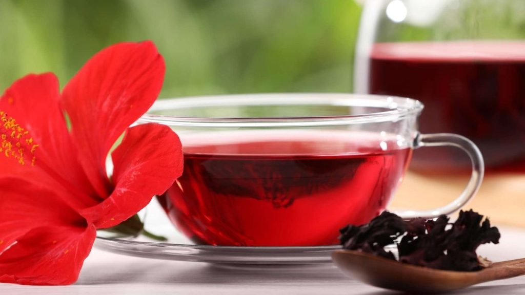 Health Benefits Of Drinking Mandara Hibiscus Water Daily Ayurvedic Uses