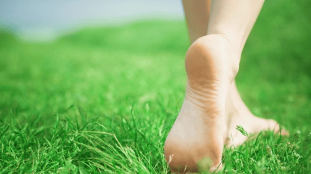 Morning Walking On Wet Grass Benefits Barefoot Walking For Better Health
