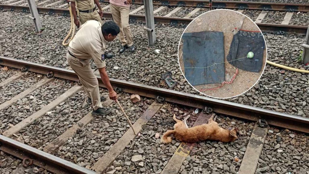 Kothagudem Railway Station Bomb Scare Crude Bombs Seized