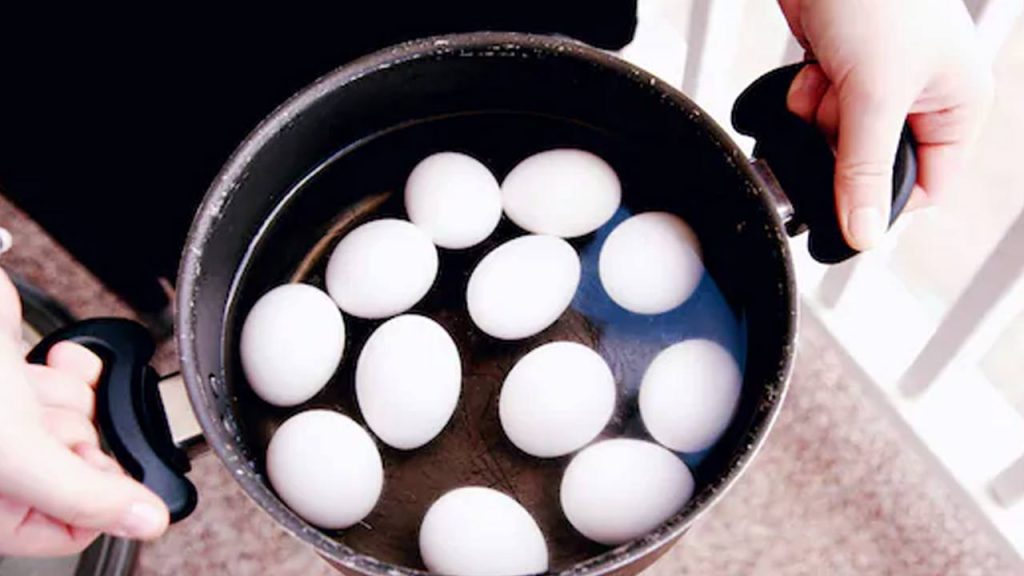 Fssai Orders Testing Of Eggs For Nitrofurans