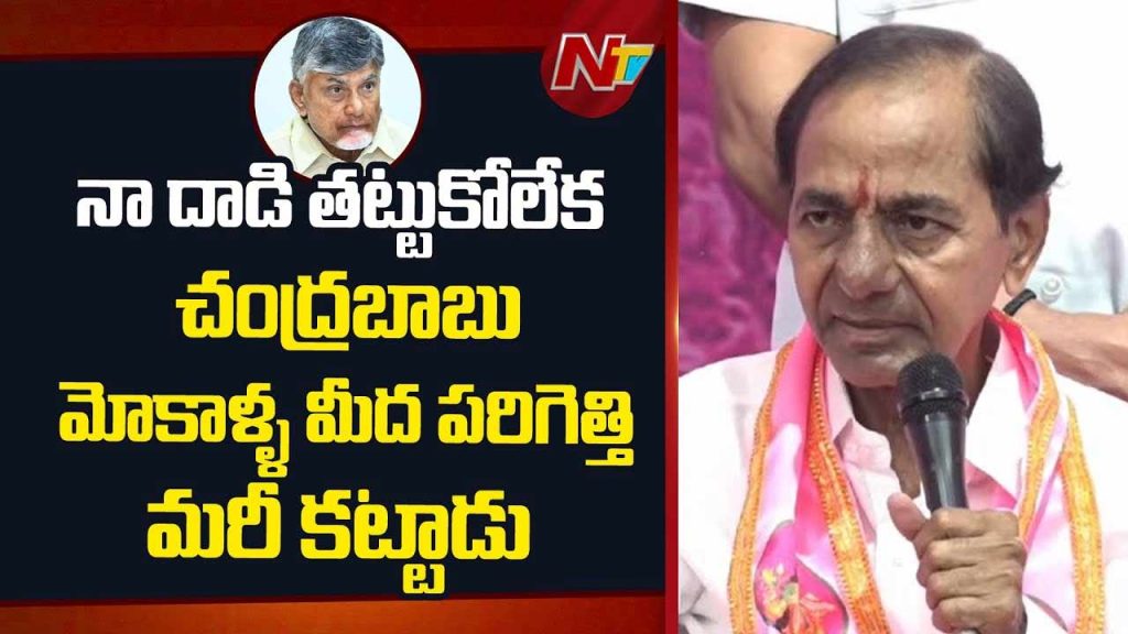 Kcr Comments On Chandrababu And Palamuru Irrigation Issues