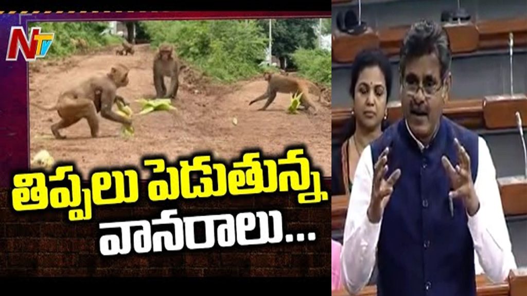 Mp Konda Vishweshwar Reddy Raises Monkey Menace In Lok Sabha Telangana Farmers Issue