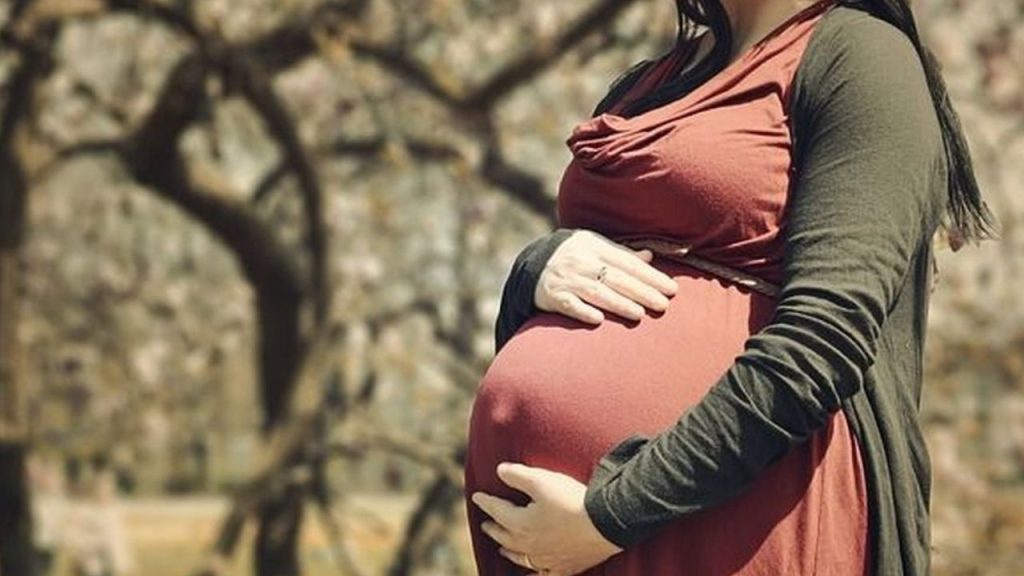 Pregnancy Super Foods Baby Brain Health Boosting 9 Best Foods Telugu Health