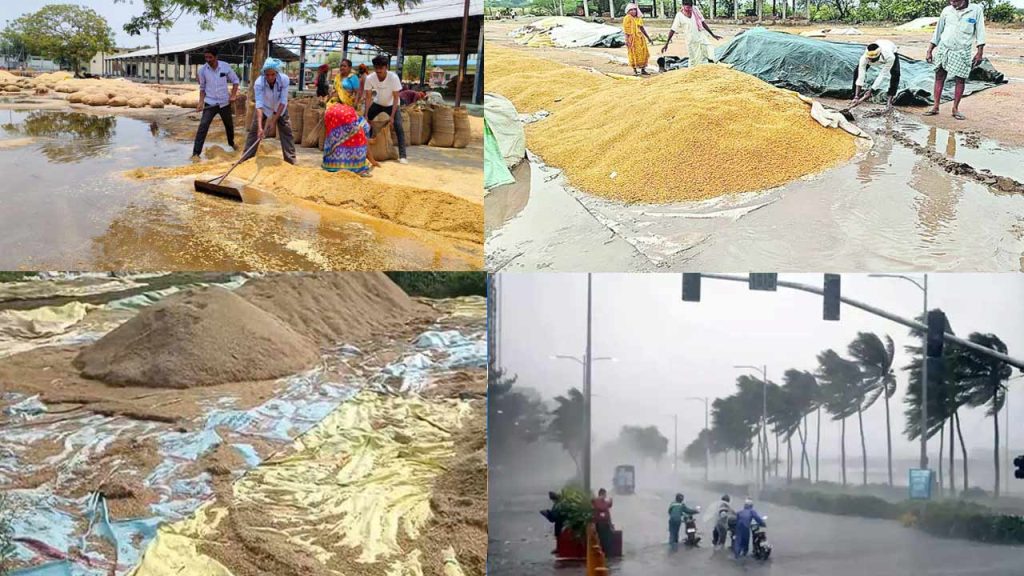 Heavy Rains Likely In Krishna District Due To Cyclone Ditwa Farmers On High Alert