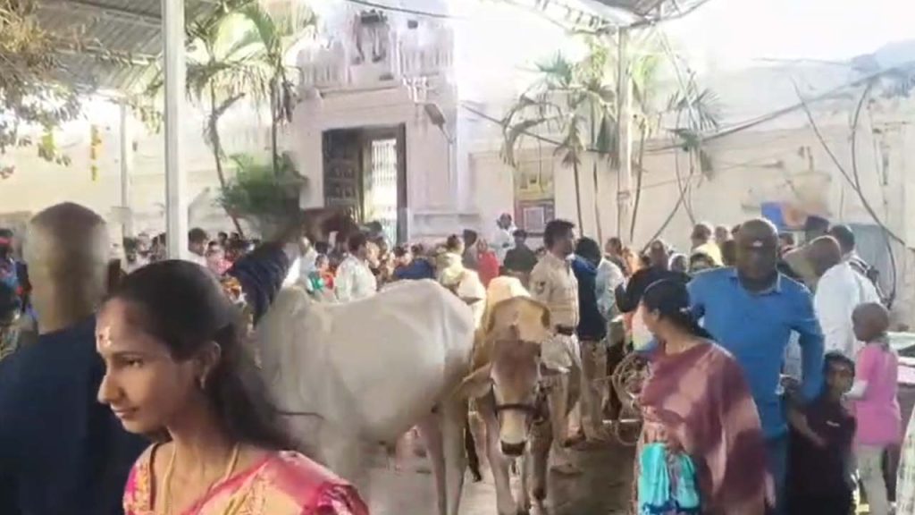 Temple Authorities Crack Down On Illegal Darshan Practices At Vemulawada Rajanna Temple