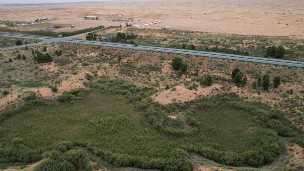 China Great Green Wall Desert Greening Technology