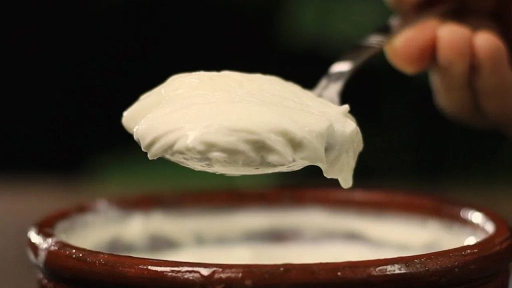 Curd In Winter Is Eating Yogurt In Cold Weather Healthy Or Harmful