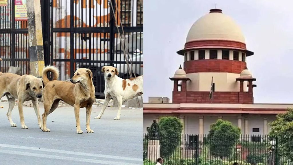 Supreme Court Issued Crucial Orders Regarding The Menace Of Stray Dogs