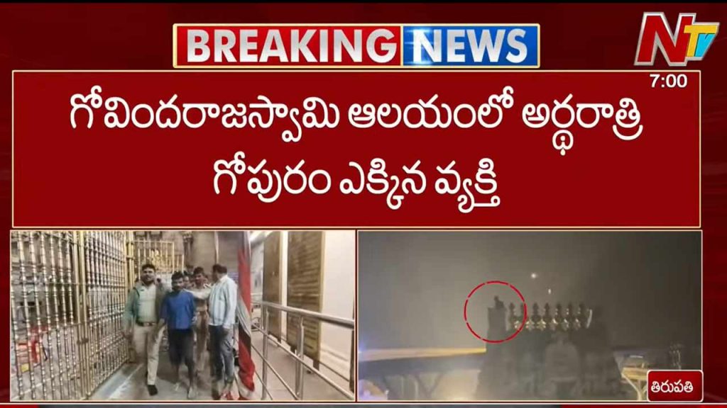 Drunk Man Creates Ruckus At Ttd Sri Govindaraja Swamy Temple Climbs Mahadwaram Gopuram In Tirupati