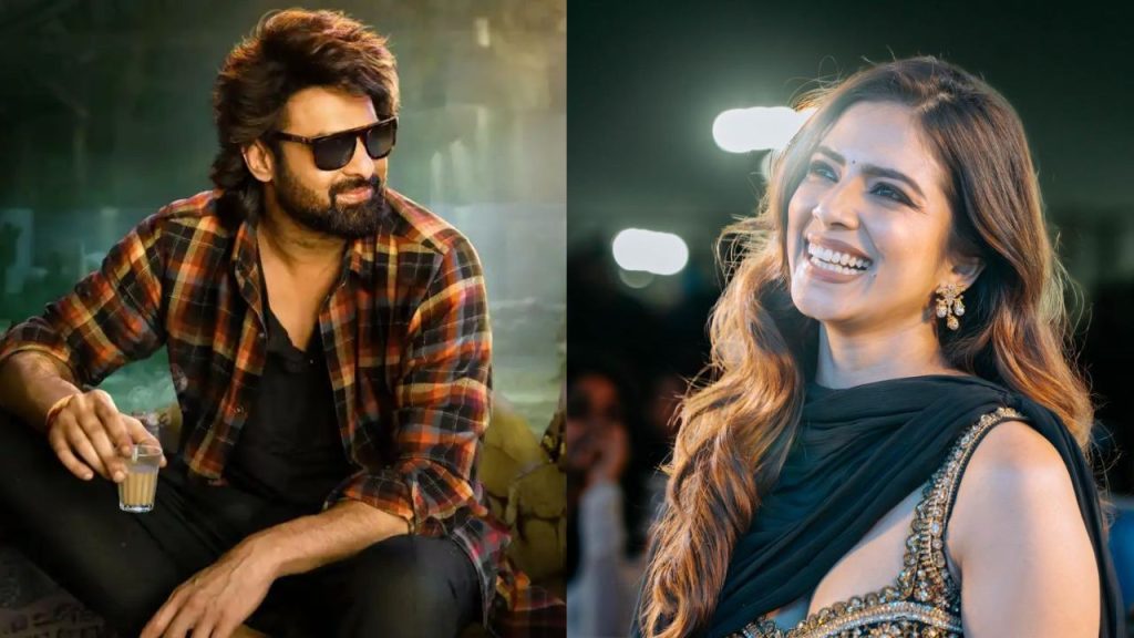 Malavika Mohanan Raja Saab Salaar Missed Opportunity