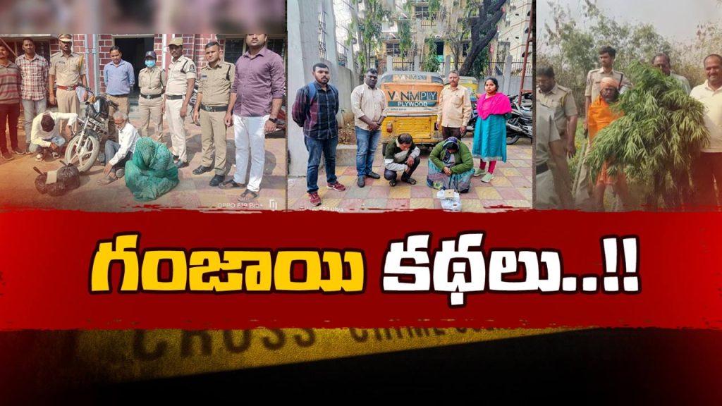 1 550 Kg Of Ganja Seized In Dhoolpet