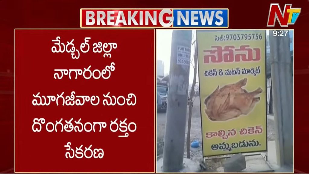 Illegal Animal Blood Racket Busted Medchal Malkajgiri