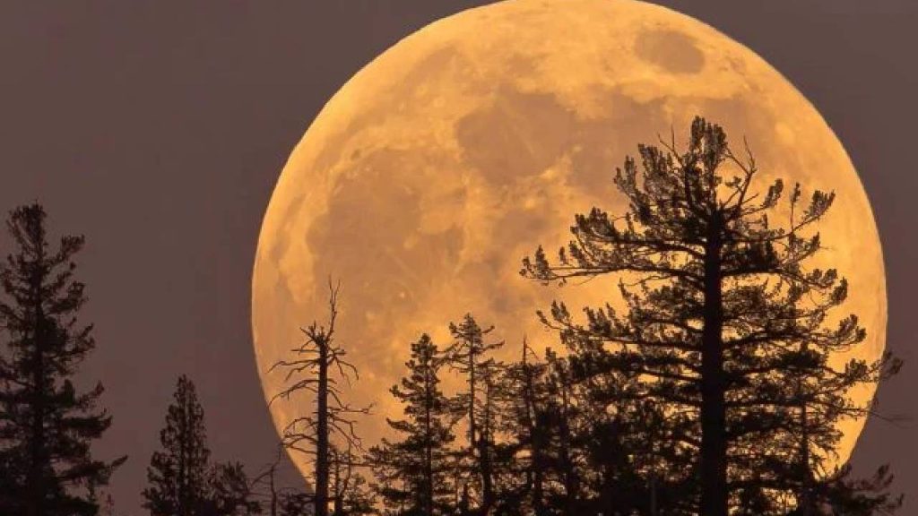 Supermoon 2026 Wolf Moon To Appear Bigger And Brighter On January 3 Heres Why