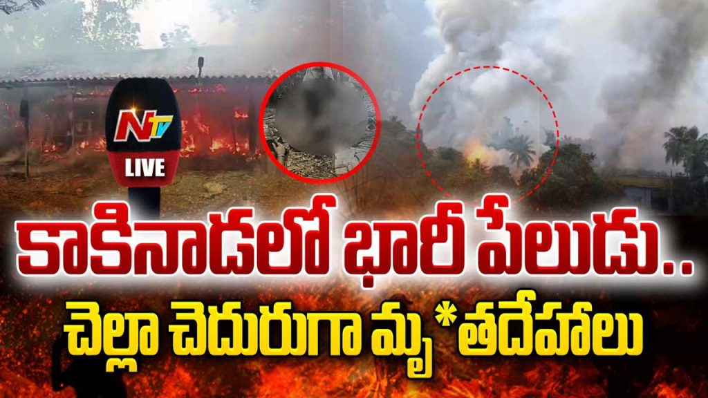20 Workers Charred To Death In Samalkota Firecracker Factory Explosion