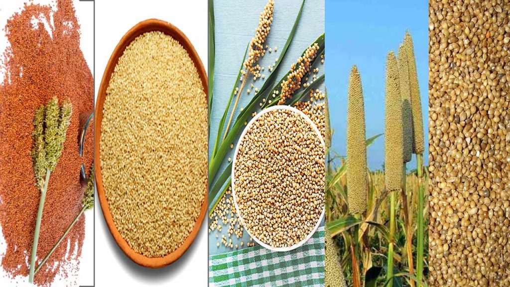 Millets Like Ragi Health Benefits Of Bajra Jowar Samalu And Korra
