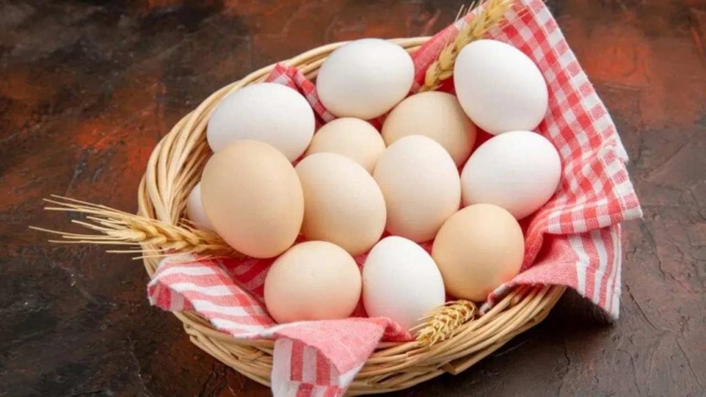 Saudi Arabia Poultry Import Ban India 40 Countries