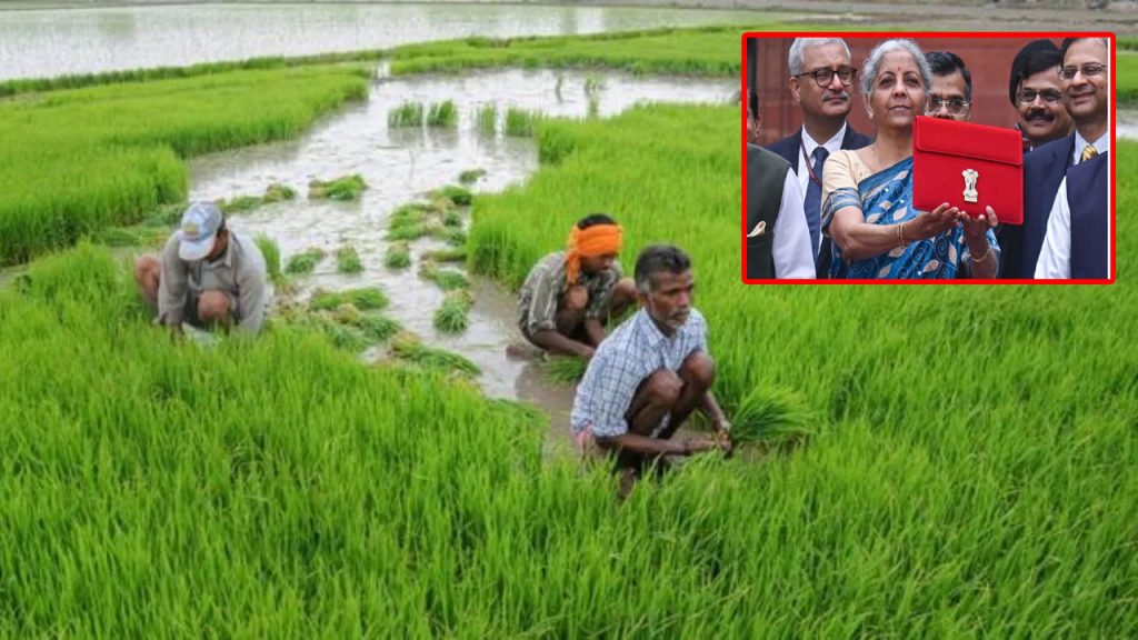 Union Budget 2026 Bharat Vistar Ai Tool Farmers Agriculture