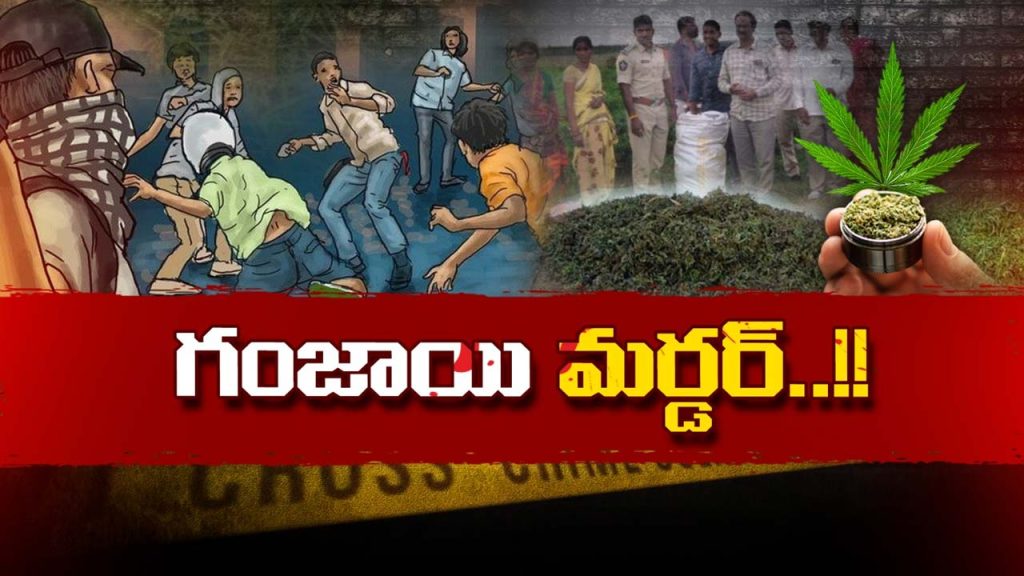Hyderabad Ganja Gang Attack Mylardevpally Ntre District Cultivation