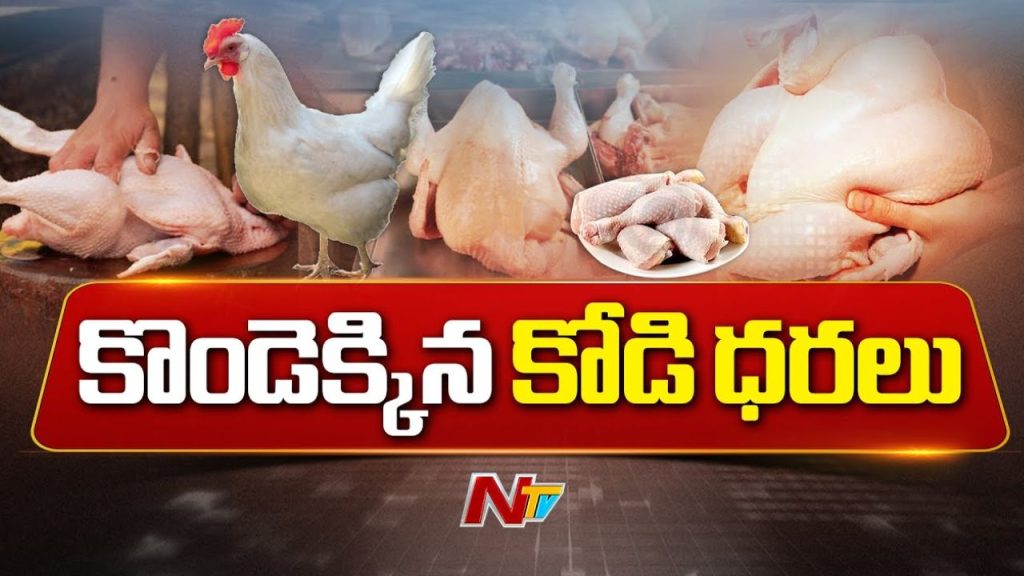 Chicken Price Hike Chicken Prices Hit Rs 400 Per Kg In Telugu States