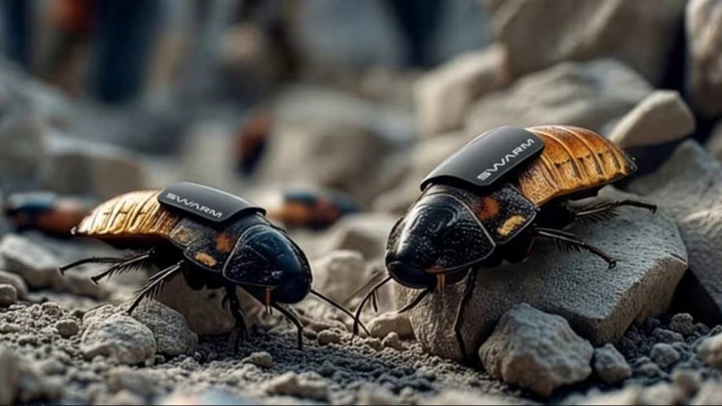 German Scientists Cockroach Cyborgs Swarm Biotactics Spying Tech