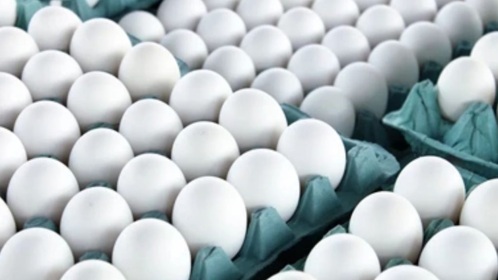 Egg Prices Drop Sharply In India After Iran War Impact On Exports