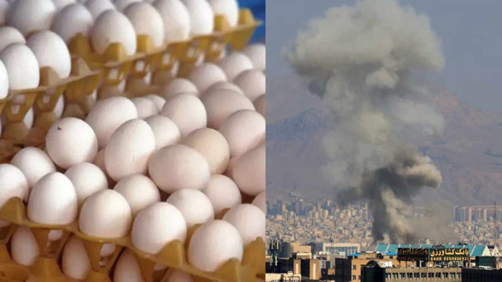 Egg Prices Drop In India Due To Gulf Export Disruptions Amid Middle East Conflict
