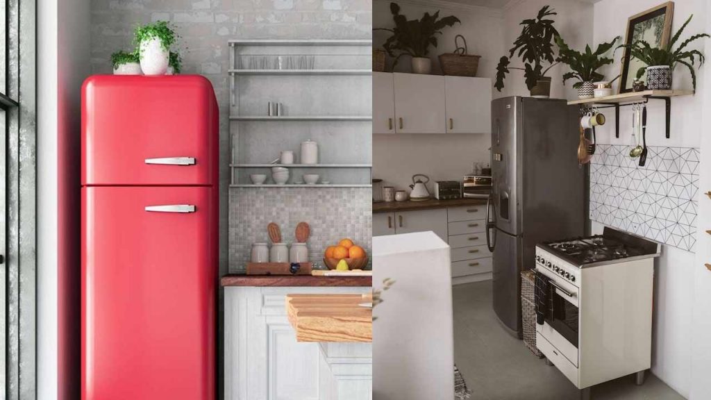 Vastu Tips Things You Should Never Keep On Top Of A Refrigerator