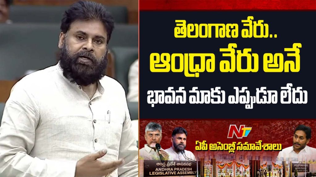 Pawan Kalyan Criticizes Congress Ap Bifurcation Amaravati Assembly Speech