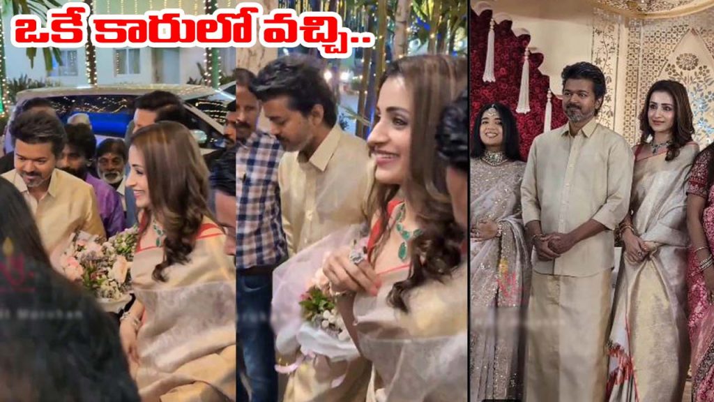 Vijay With Trisha At Wedding Reception In Chennai Video Viral