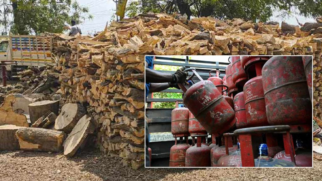Hyderabad Gas Shortage Demand For Firewood Surges As Hotels Shift To Wood Stoves