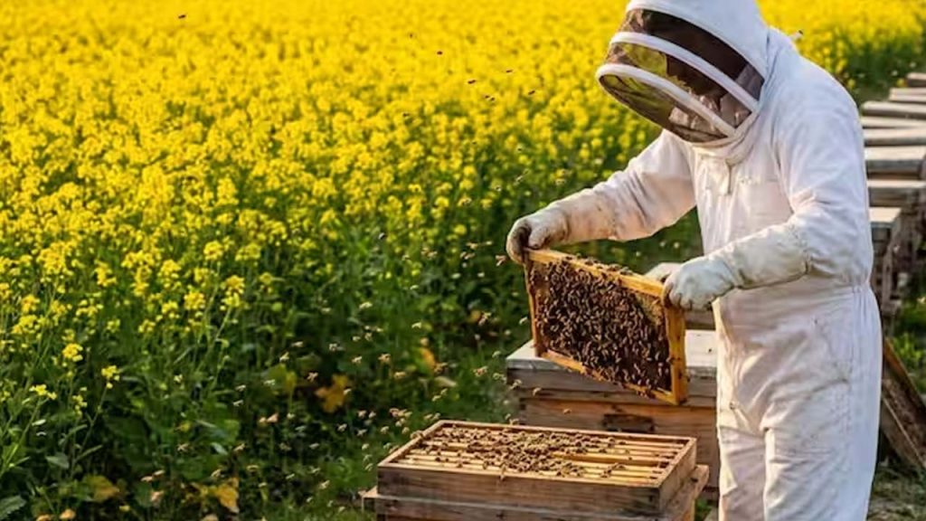 Do You Know How Many Schemes Government Of India Is Implementing For Farmers