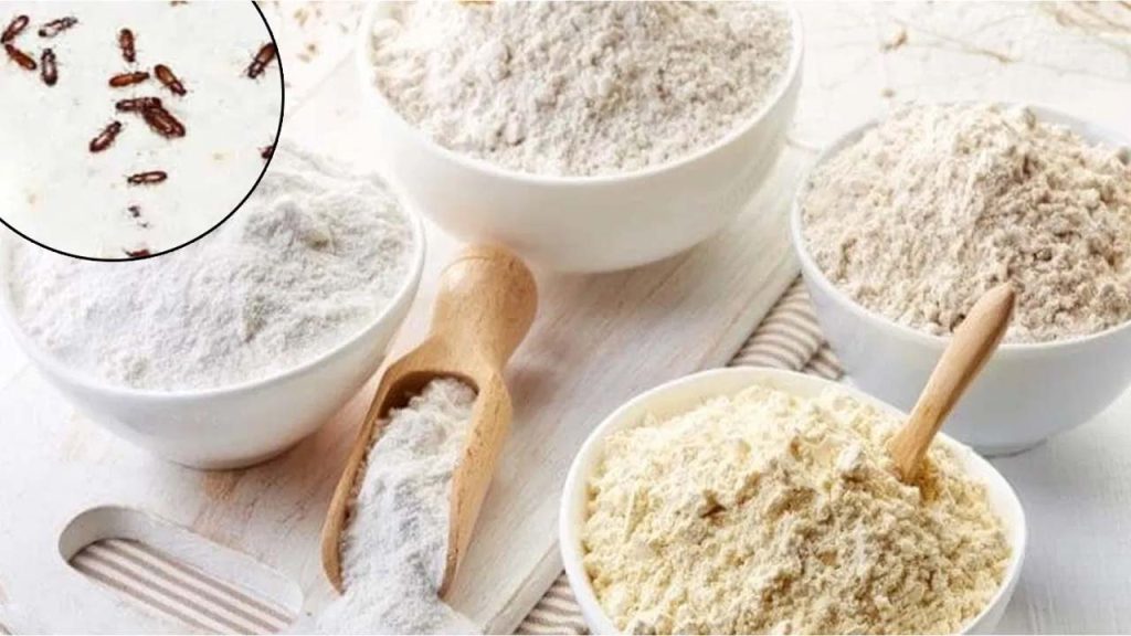 Food Tips How To Store Flour Without Insects For 6 Months