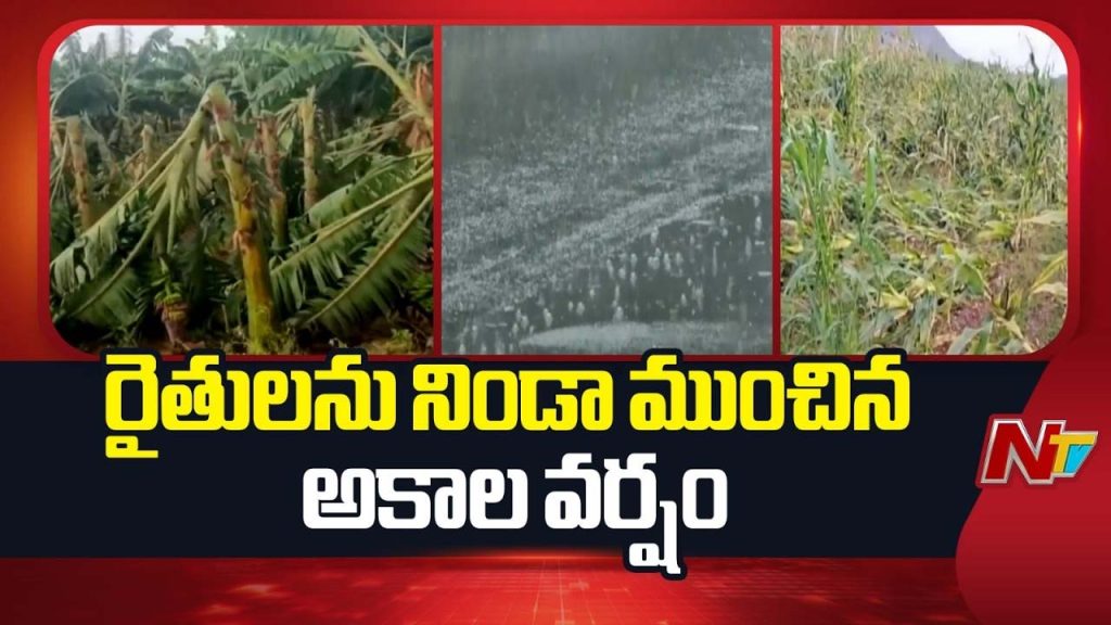 Weather Update Rains Lightning Alert Ap Telangana