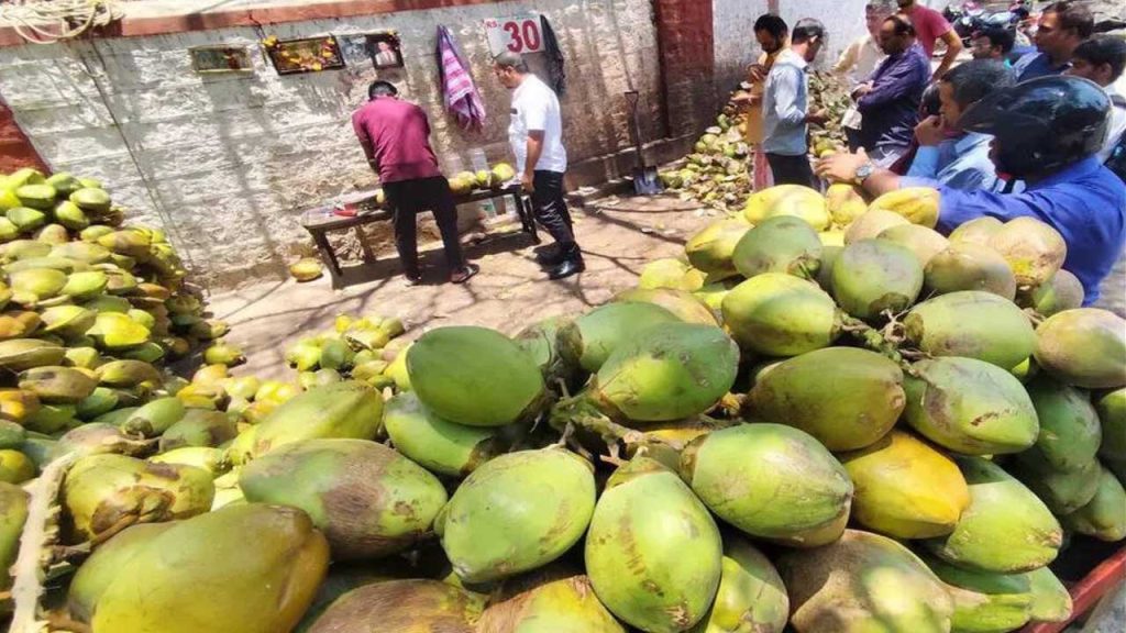 How To Choose Tender Coconut With More Water Pro Tips