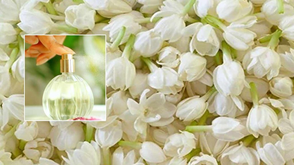 How To Make Jasmine Perfume At Home Natural Remedy For Sweat Odor