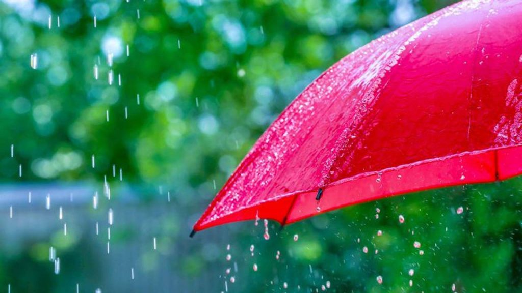 India Monsoon 2026 Early Arrival Rain Forecast Ecmwf Update