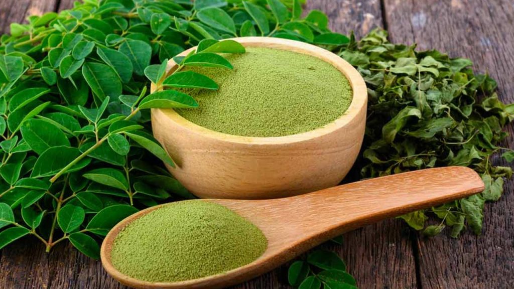 Healthy Moringa Leaf Powder Recipe Weight Loss Benefits