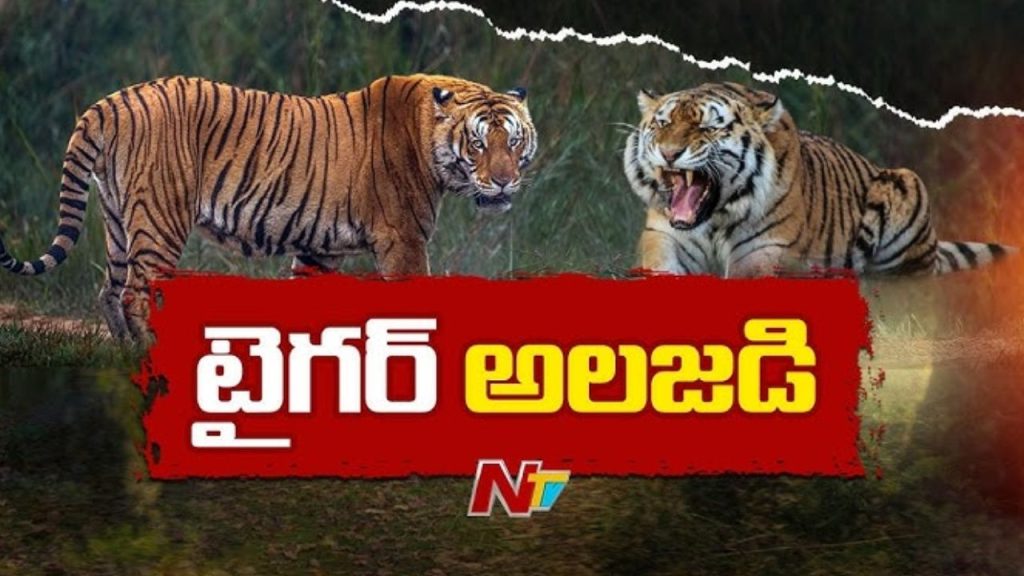 Tiger Spotted On Nelakota Hill Panic Grips Polavaram Villages In Andhra Pradesh