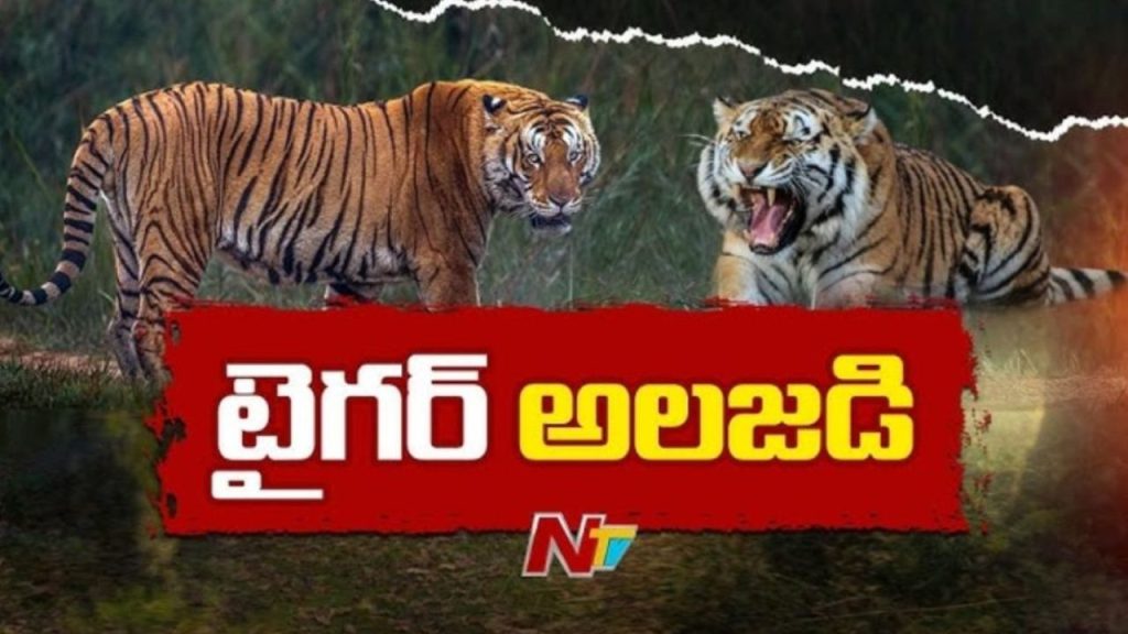 Tiger Movement Creates Panic In Polavaram District Forest Officials Issue Alerts To Villagers