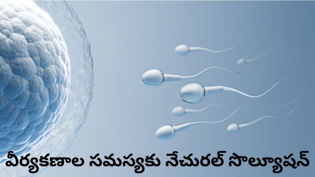 Natural Ways To Improve Sperm Quality Best Foods To Boost Male Fertility