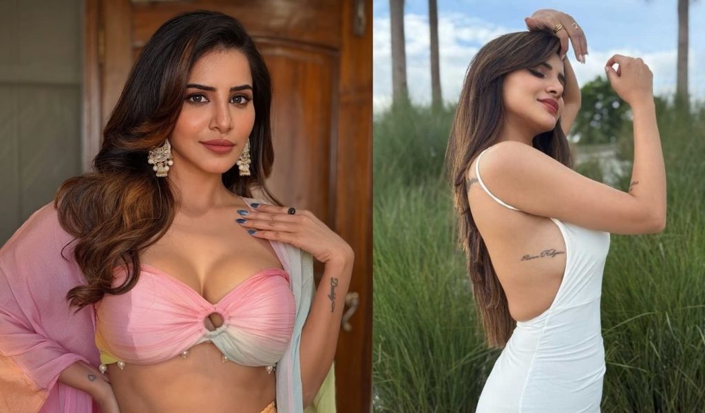 Details Of The Cheating Case Registered Against Actress Ashu Reddy Its A Big Sketch