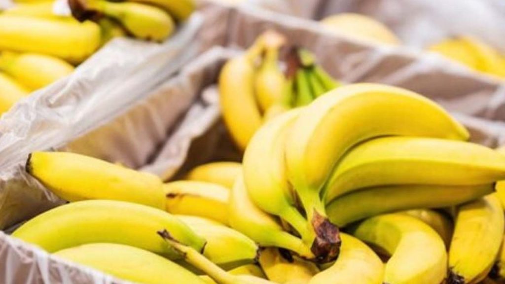 Are You Eating Bananas Ripened With Chemicals Identify Them In Minutes Using Fssai Guidelines