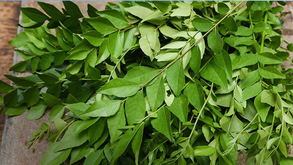 Curry Leaves Side Effects Who Should Avoid